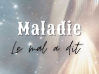 Le langage des&nbsp;oiseaux